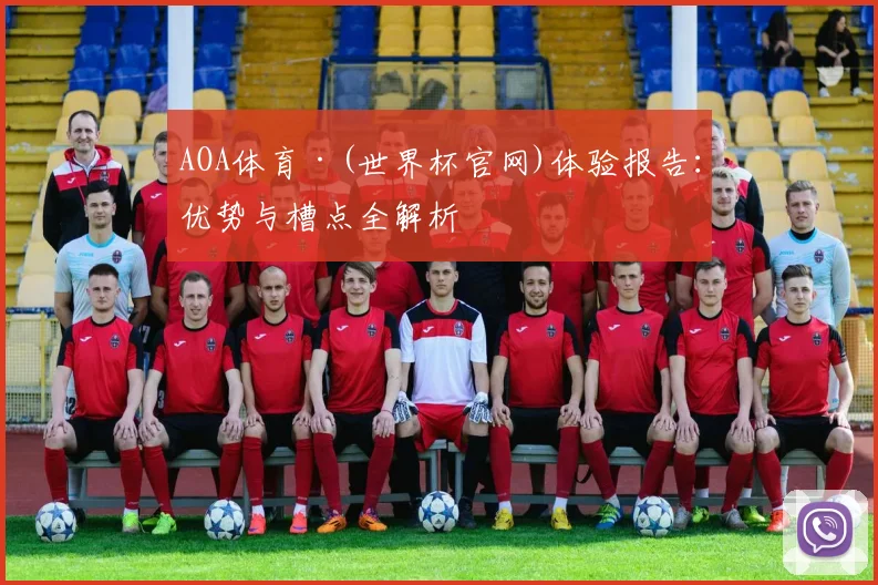 AOA体育·(世界杯官网)体验报告：优势与槽点全解析